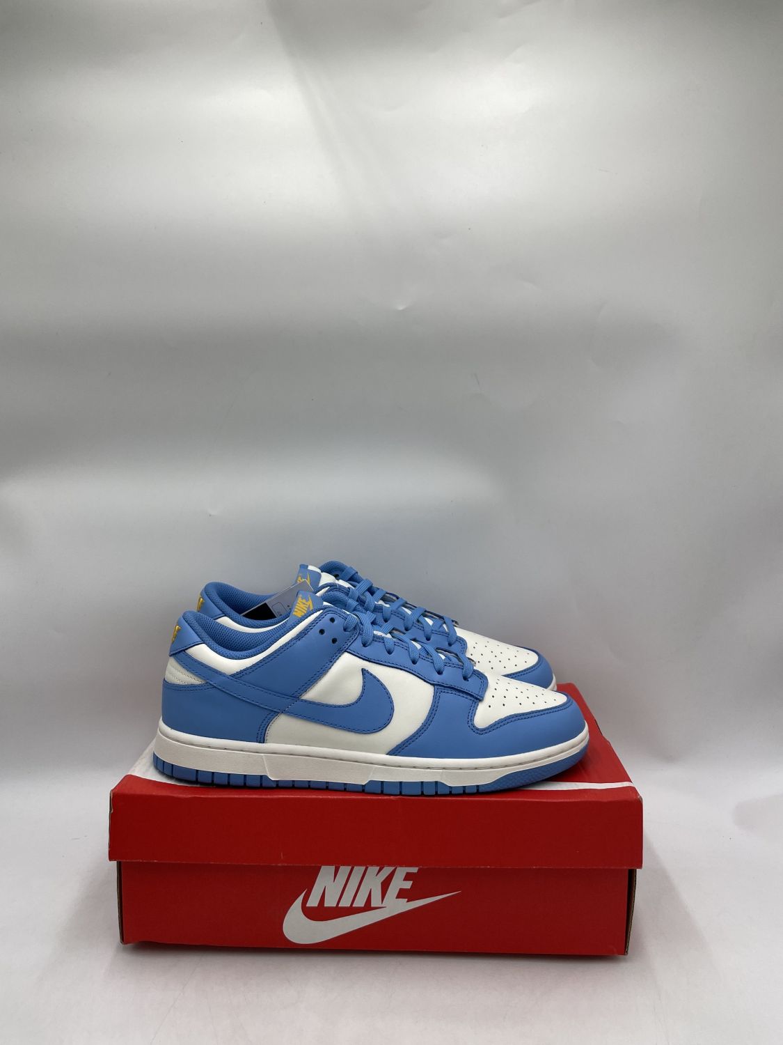 Nike Dunk Low Coast (Womens) AfterMarket