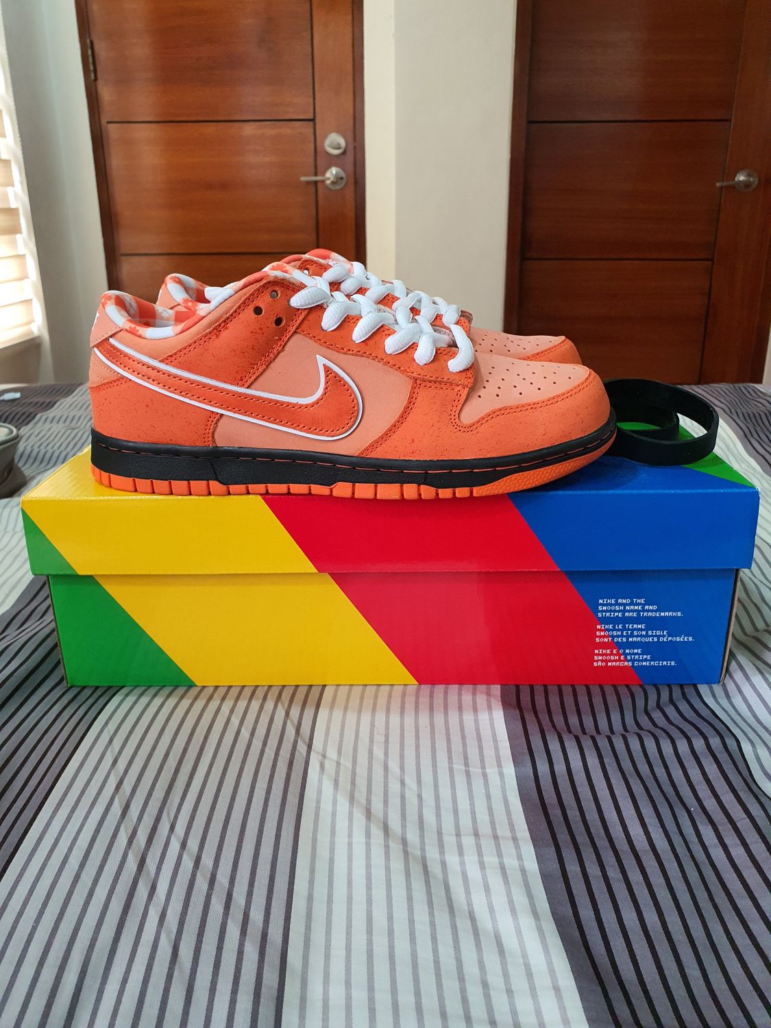 nike sb dunk low gamma orange