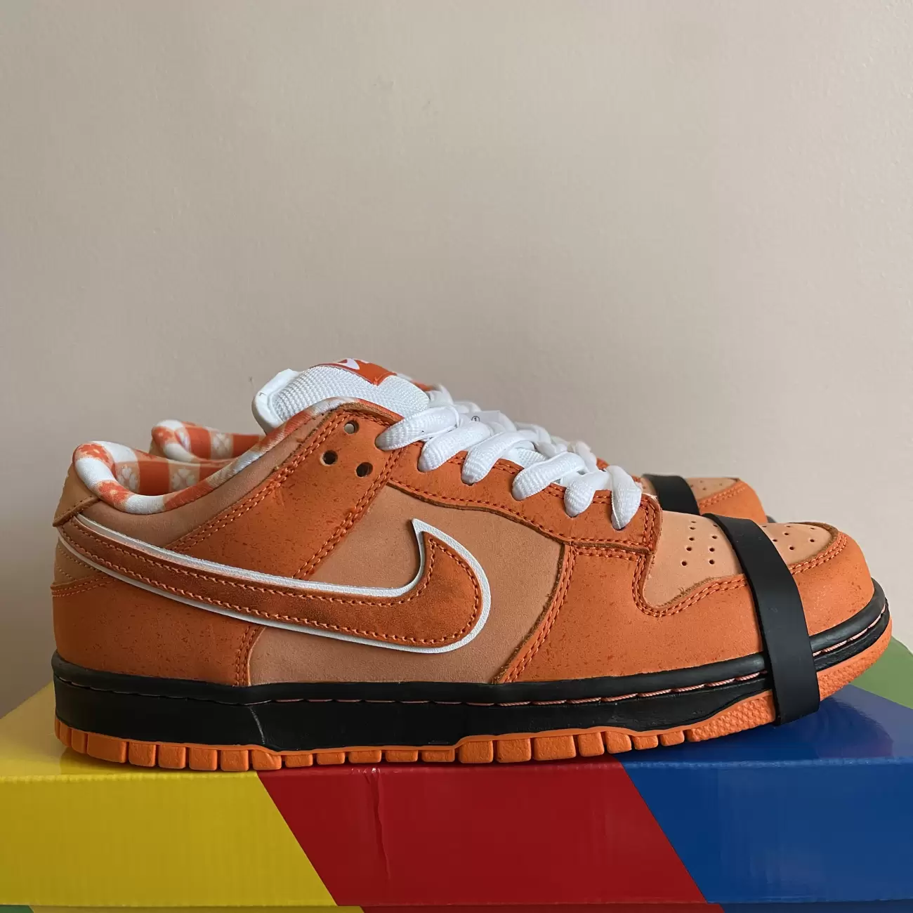 Concepts x Nike SB Dunk Low (Orange Frost/Electro Orange/White) Online