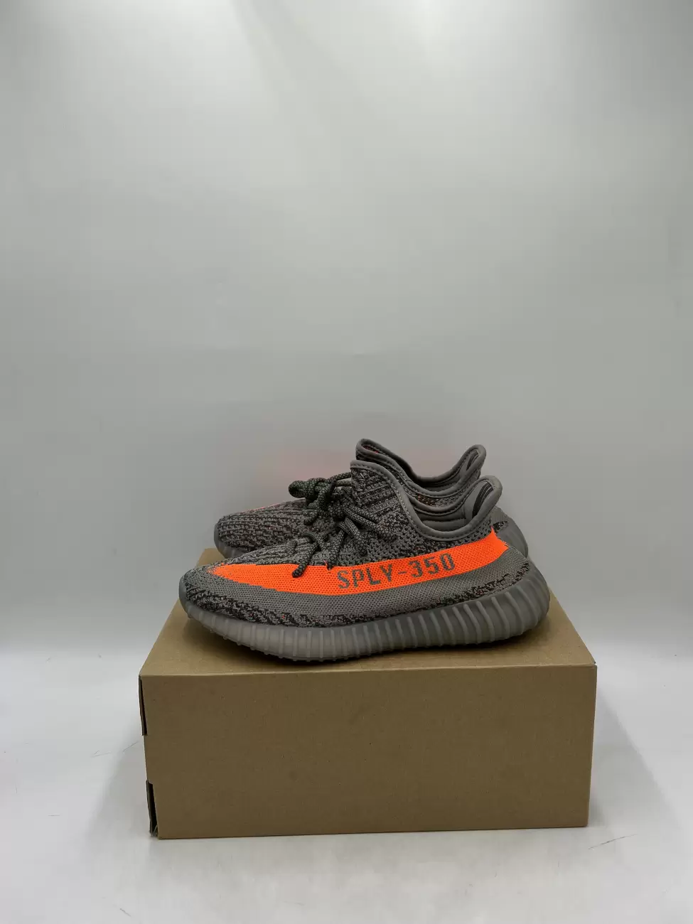 beluga 1.0 restock