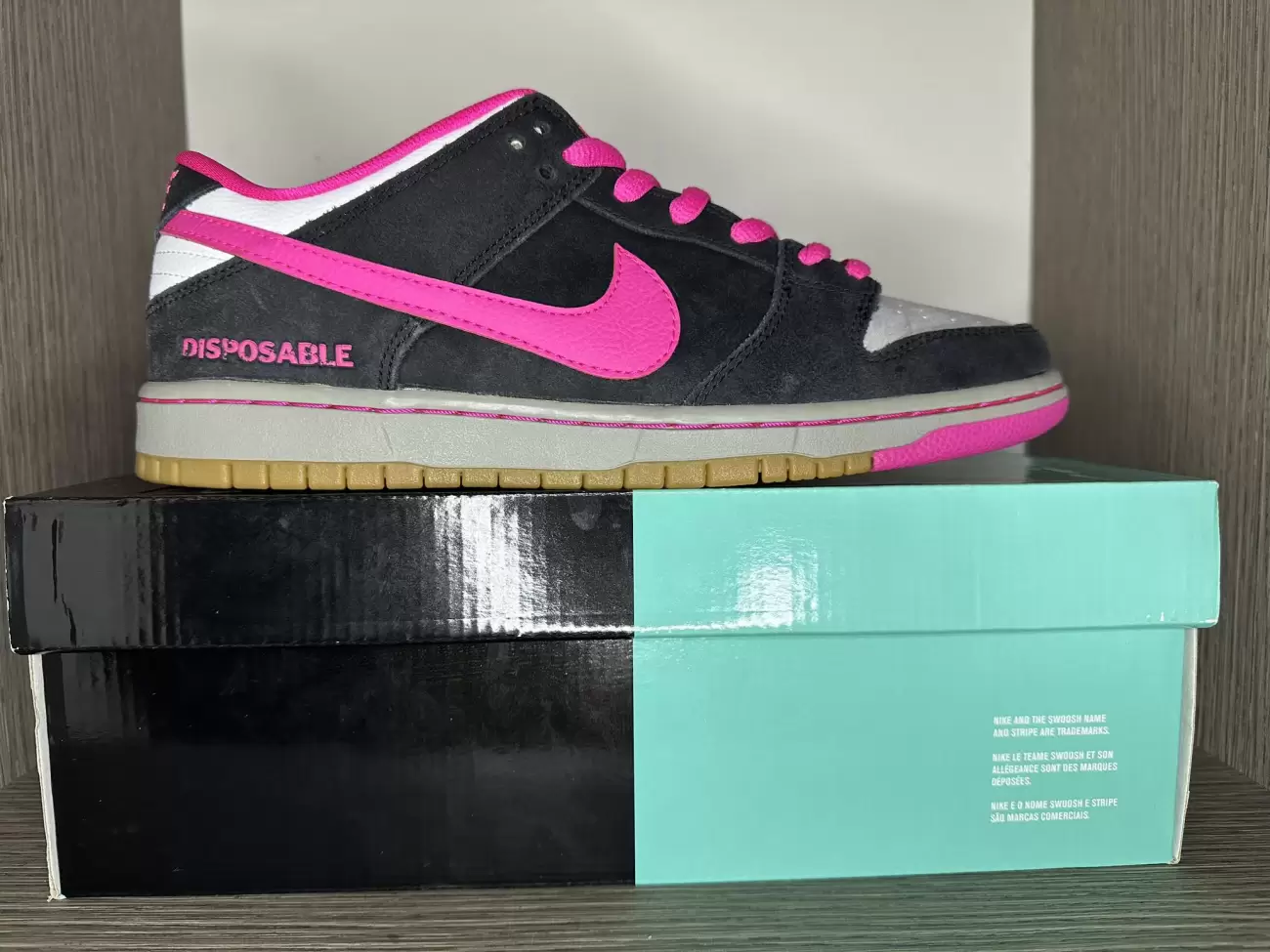 Nike dunk hotsell low disposable