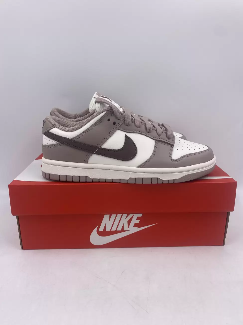 Nike Dunk Low Diffused Taupe (womens) 