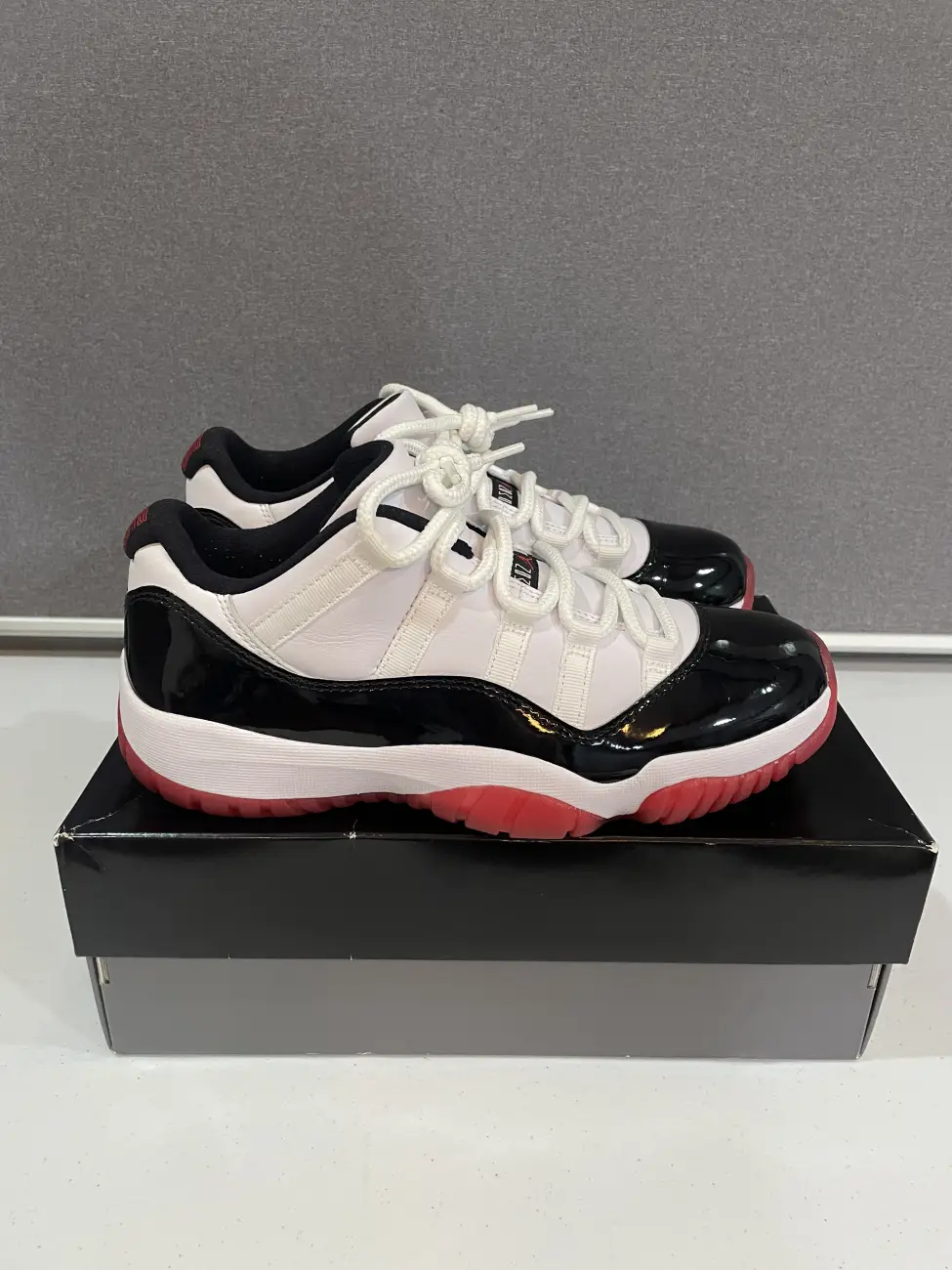 Bred concords best sale