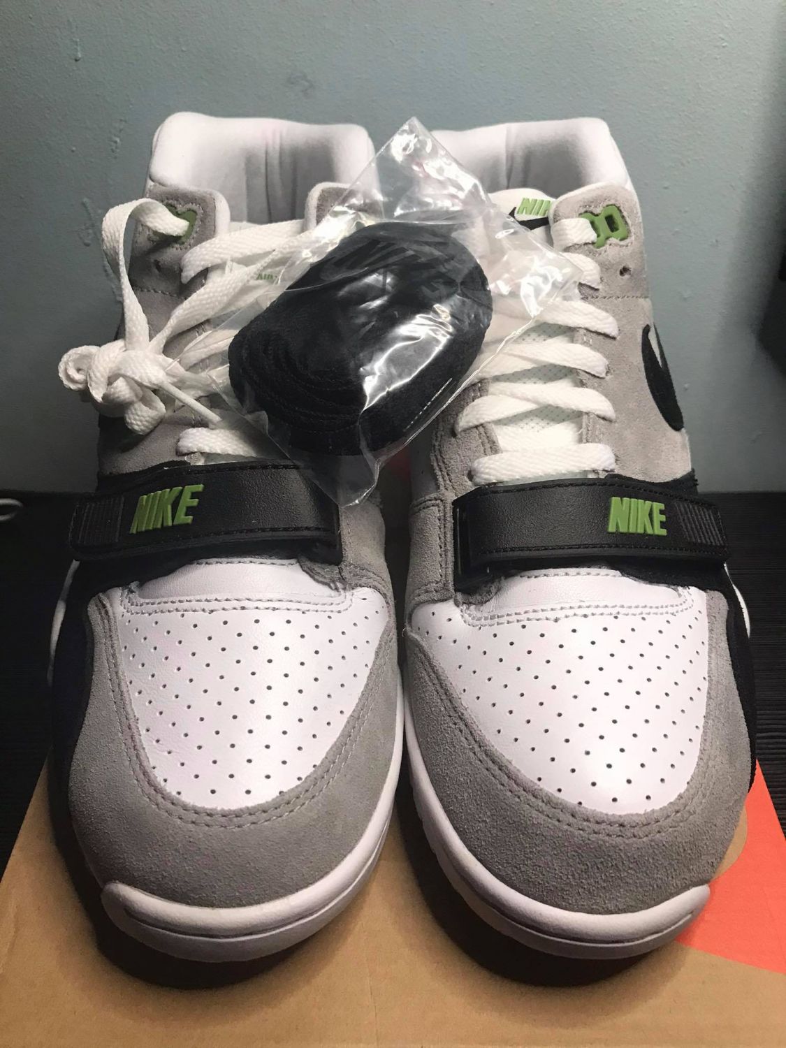 sb air trainer chlorophyll nike