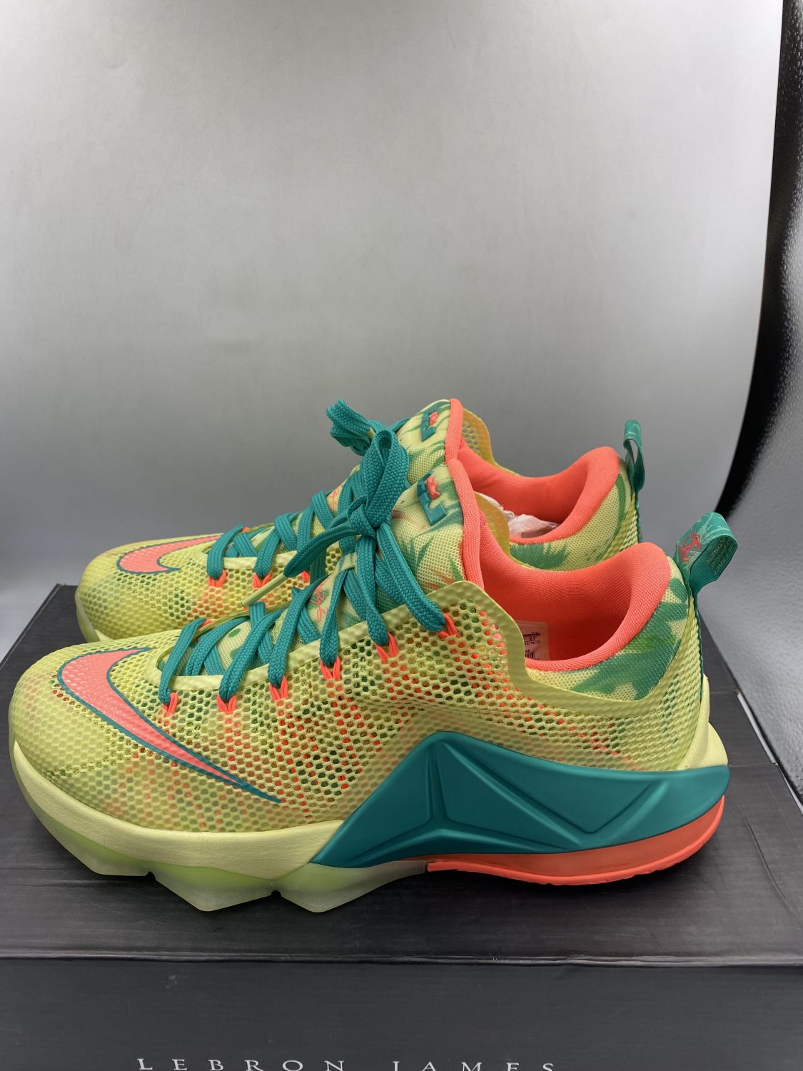 lebron 12 lebronold palmer