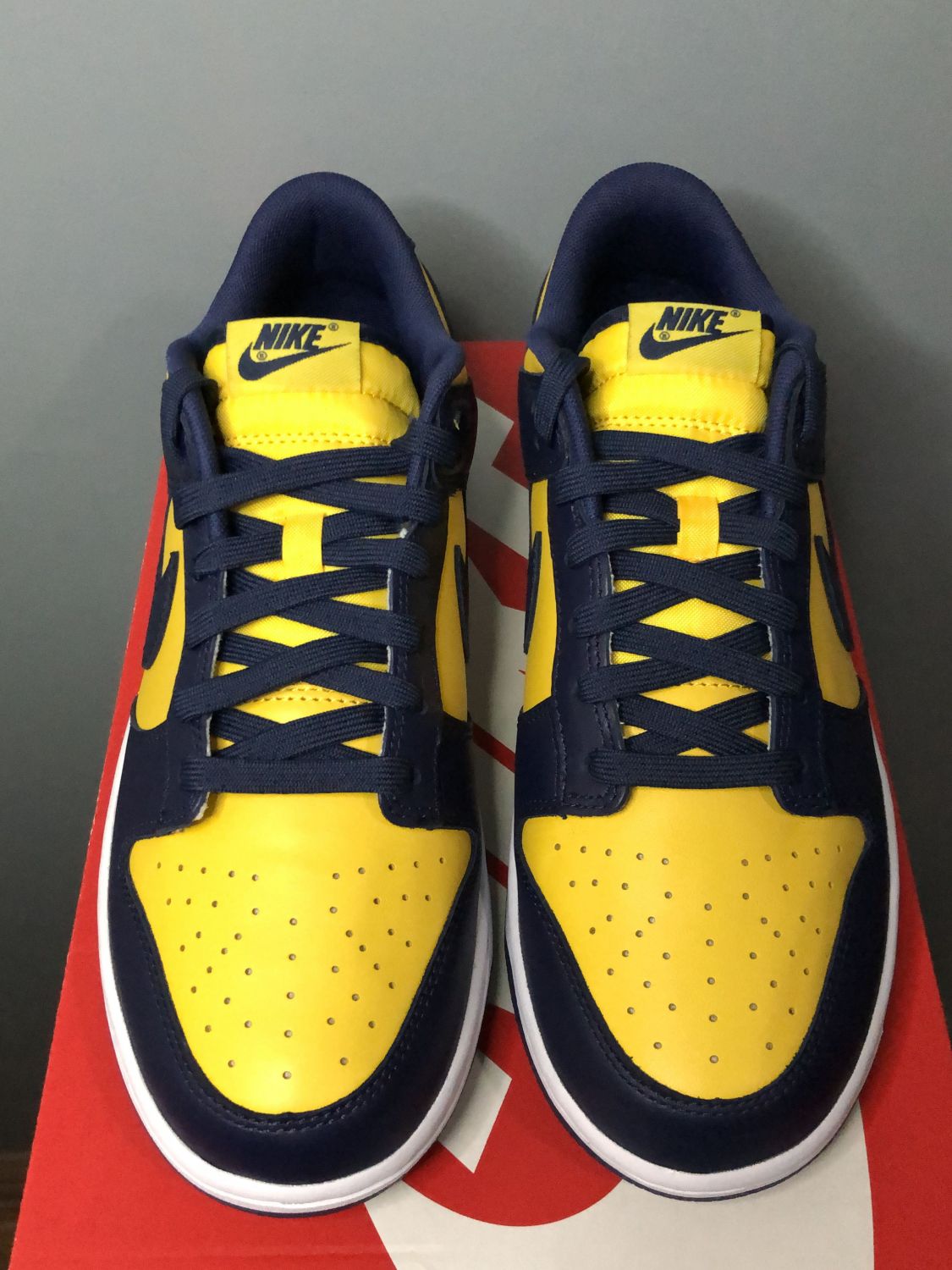 Nike Dunk Low Michigan | AfterMarket