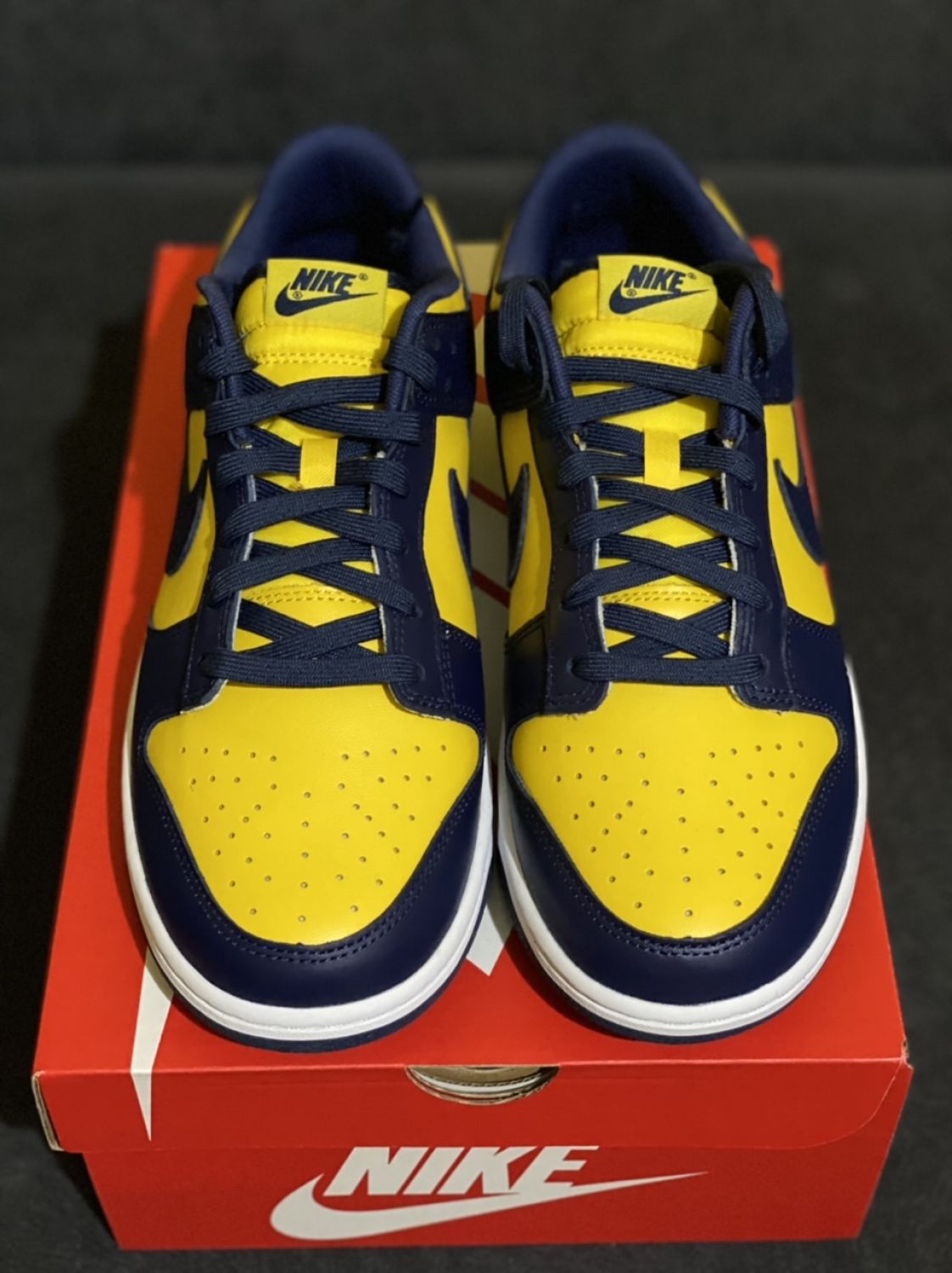 mens nike dunk low michigan stores