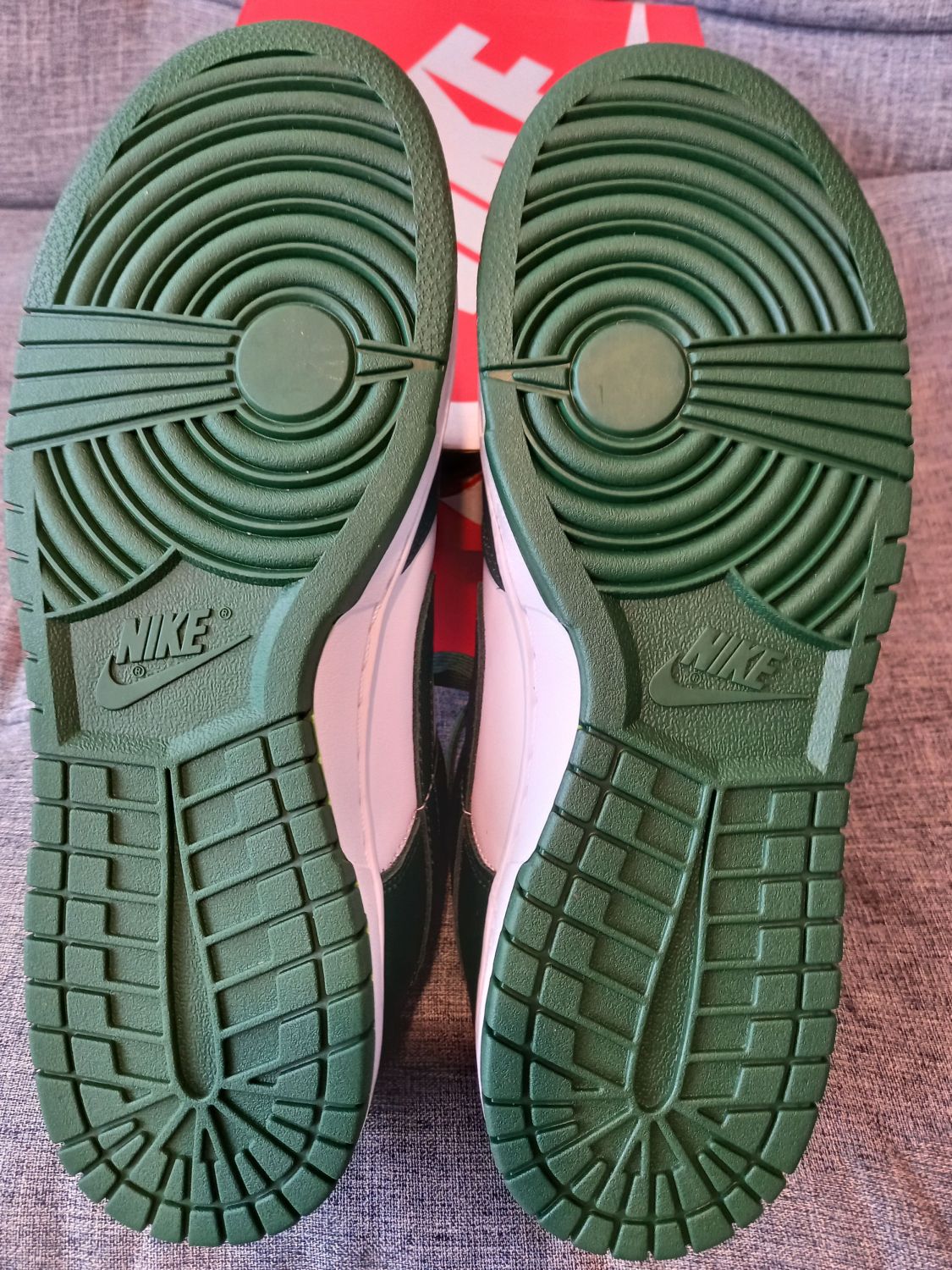 michigan state dunks low