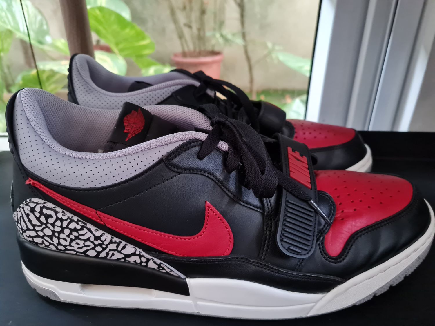 312 clearance bred low