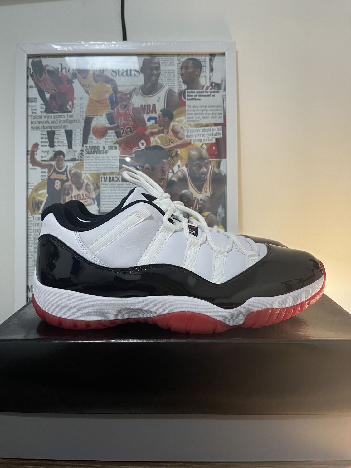 Jordan 11 Retro Low Concord Bred AfterMarket